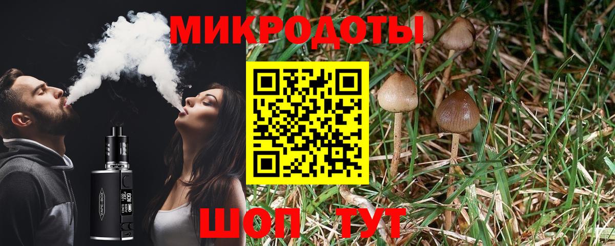 Псилоцибиновые грибы GOLDEN TEACHER  Псилоцибиновые грибы GOLDEN TEACHER  Вход с VPN  купить наркотик  Ефремов 